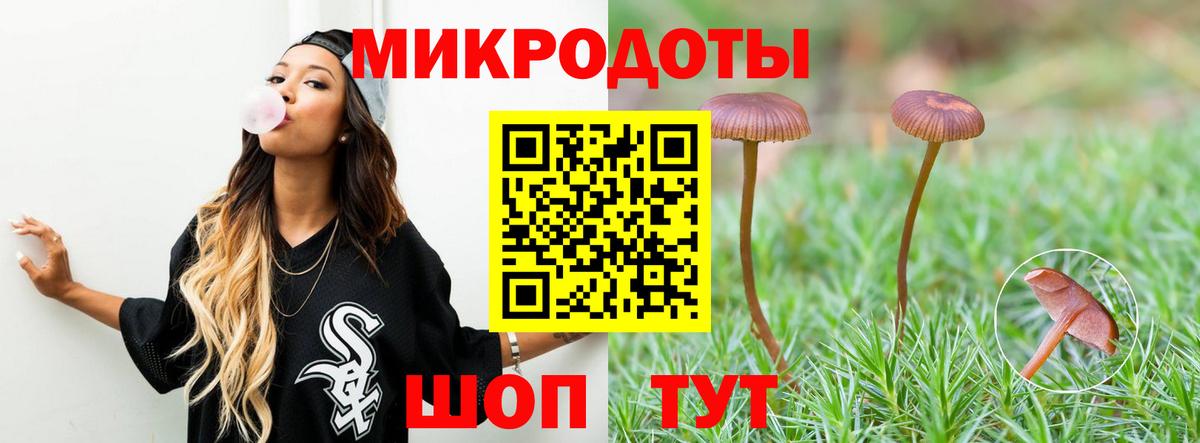 Волгоград  Галлюциногенные грибы GOLDEN TEACHER  Псилоцибиновые грибы MAGIC MUSHROOMS  Вход с VPN 