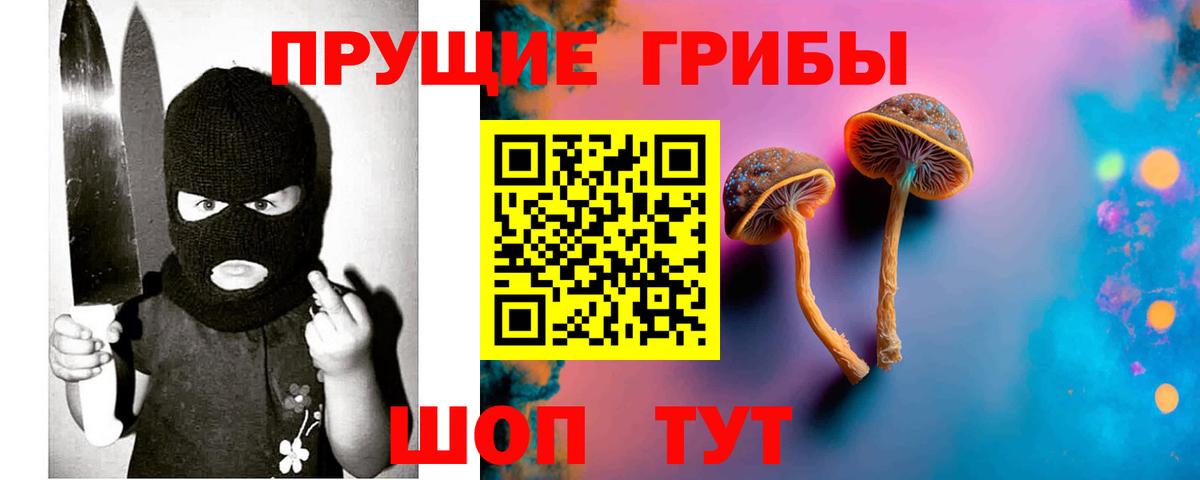 Псилоцибиновые грибы мицелий Волгоград